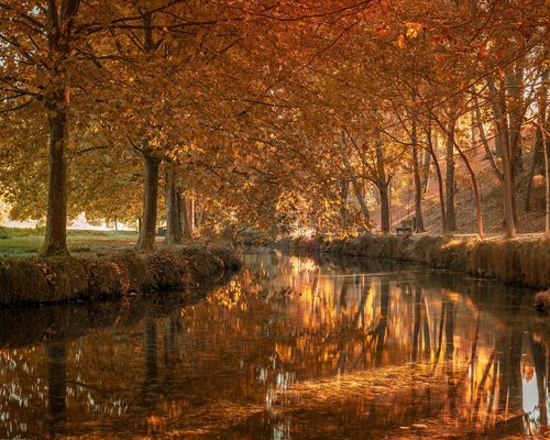 Detalle de agua tibia y jabón suave en las manos